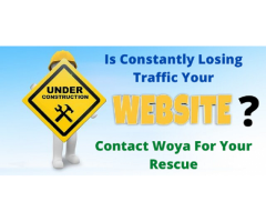 Website Is Constantly Losing Traffic? Contact Woya For Your Rescue