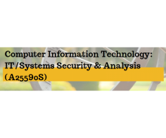 IT/Systems Security & Analysis