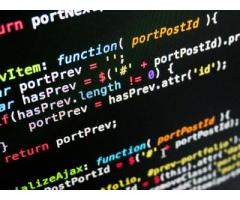 Computer Programming & Development
