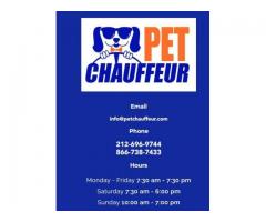 Pet transportation services in New York City