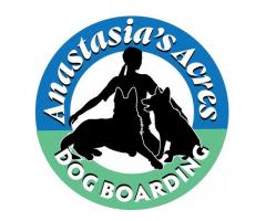 Anastasia’s Acres Dog Boarding
