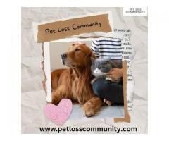 Forever in Our Hearts: A Pet Loss Memorial