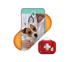 Dog Insurance Policy - Pet Medical Insurance