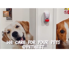 Pet Heist: Quality Nutrition for Happy Pets!