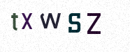 Visual Confirmation Security Code