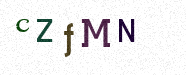 Visual Confirmation Security Code