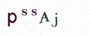 Visual Confirmation Security Code