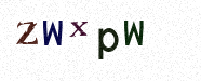 Visual Confirmation Security Code