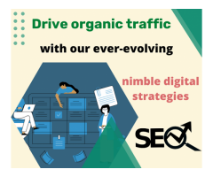 Drive organic traffic with our ever-evolving nimble digital strategies