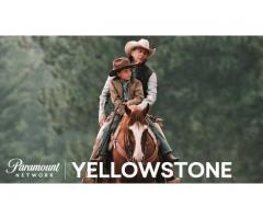 Yellowstone Jacket for Sale