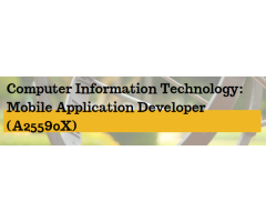 Mobile Application Developer