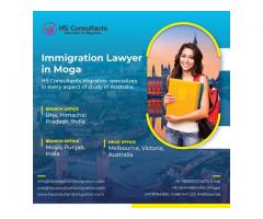 Immigration Lawyer in Moga