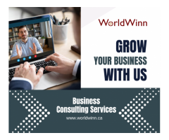 Expert Business Consulting Services to Drive Growth and Success