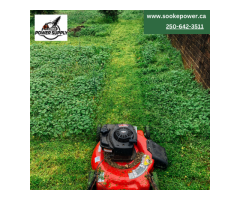 Buy the Best Lawn Mowers for Your Home & Garden