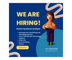 Senior Systems Analyst