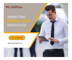 Marketing Consultant Mississauga Maximizing Your Business Potential