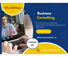Crafting Success with Business Plans in Mississauga