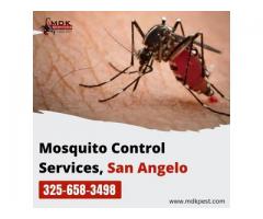 Mosquito Control Services in San Angelo - Enjoy Your Outdoor Spaces Bite-Free