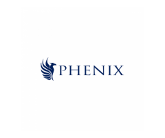 PHENIX Investigations