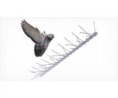 Bird Deterrent Products