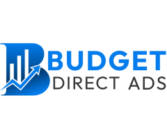 Company to Design Website in Florida - Budget Direct Ads Inc