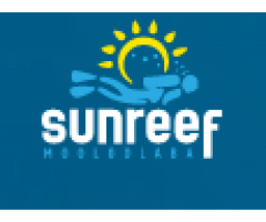 Scuba Diving with Sharks - Sunreef's Thrilling Adventures