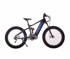 Fat tire electric bike