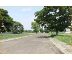 Manila Southwoods 404 SQM Residential Lot, Phase 1