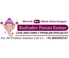 Best Astrologer In India +91-8003092547