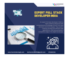 Expert Full Stack Developer India