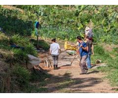 Volunteer in Brazil - Opportunities at an  Eco Farm