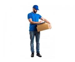 Delivery or courier rider needed