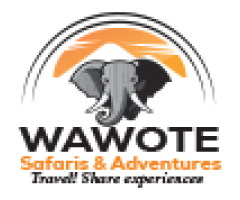 Gorilla Safaris in Uganda and Africa