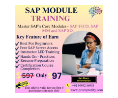 SAP Training Beginners In $97