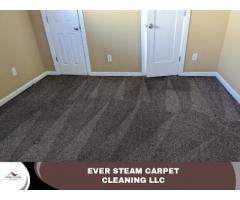 Ever Steam Carpet Cleaning LLC