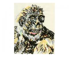 Volunteer in Brazil with Oiyakaha