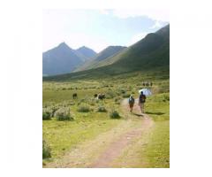 EcoFriendly Travel in Tibet with the TibetanTour Guide