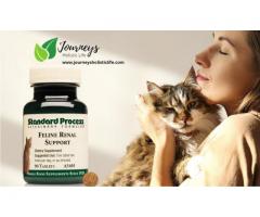 Supplements for Cats | Journeys Holistic Life