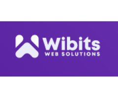 Boost Your Business With The Best Digital Marketing Services| Wibits Web Solutions