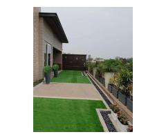 GreenstarTransform Your Terrace with Garden Landscape Design