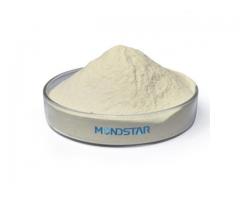 soy protein isolate supplier Mondstar