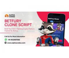 Start Your Profitable Online Betting Venture with Betfury Clone Script