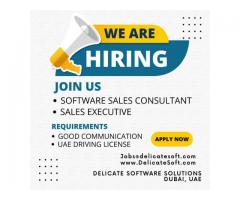 Software Executive IT Company