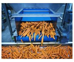Creating a safe and hygienic Food Processing Environment