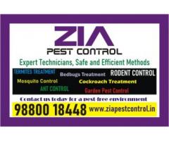 Cockroach Treatment | Pest control service price just Rs. 999 only | 1819