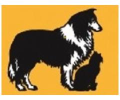 Florence Veterinary Hospital