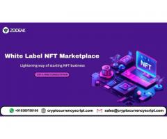 White Label NFT Marketplace - Lightening way of starting NFT business