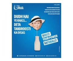 Buy Organic A2 Gir Cow Milk Fresh Pure Competitive Prices