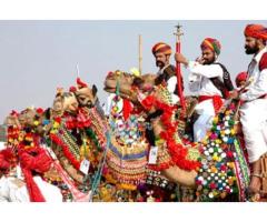 4 Days Pushkar Camel Fair 2024