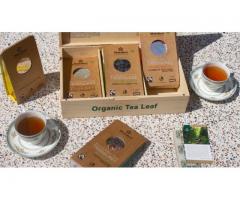 Shop Premium Tea Bags for a Perfect Brew Every Time
